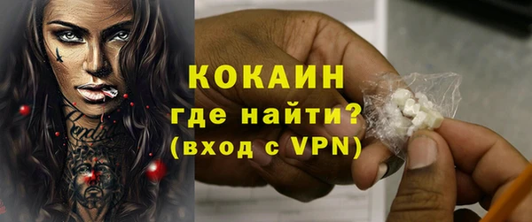 крисы Баксан