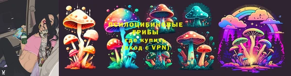крисы Баксан