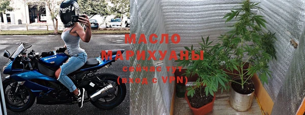 крисы Баксан