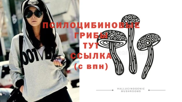 хмурый Балахна