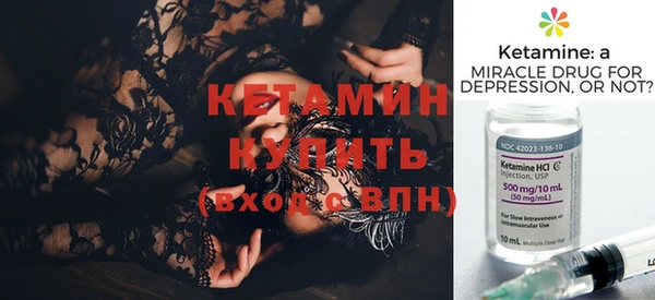 крисы Баксан