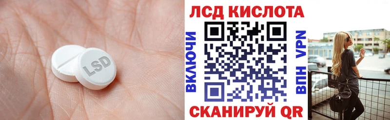 дарнет шоп  Новомосковск  LSD-25 экстази кислота 